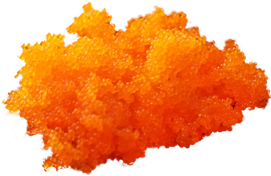 masago-premium-resized